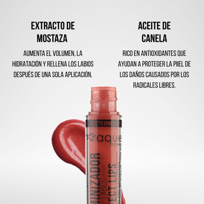 Imagen 2 1 1